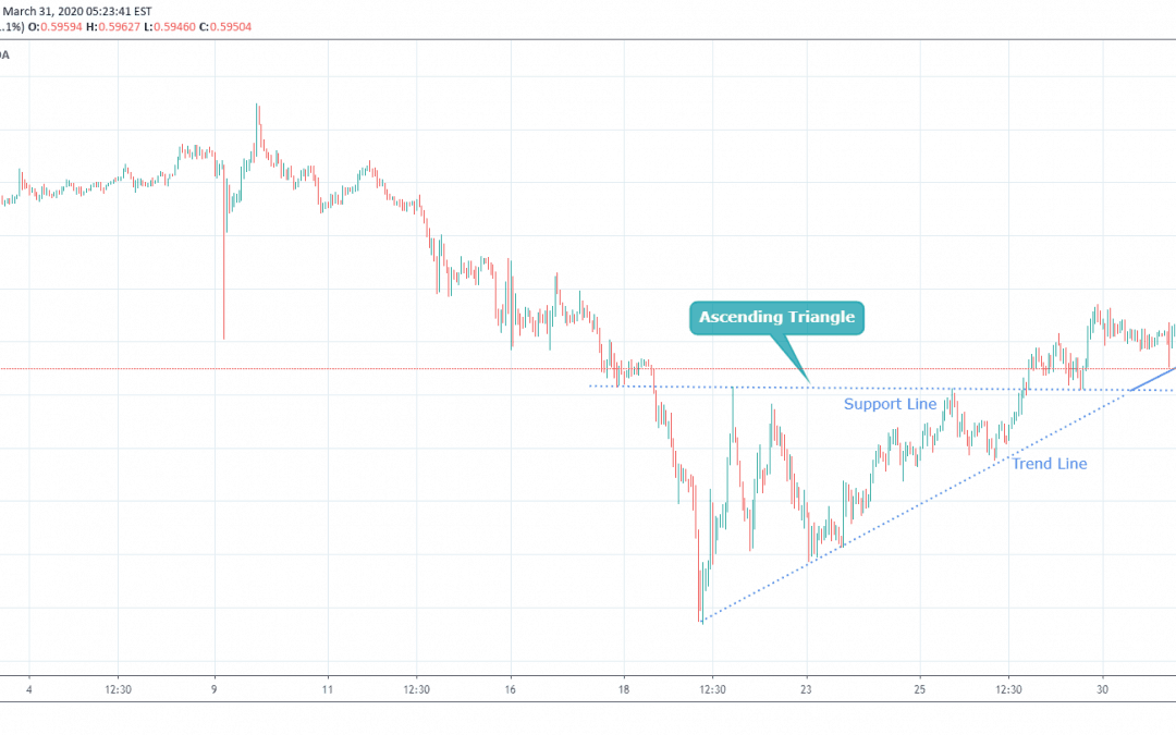 NZDUSD at Trend Line Support Level.